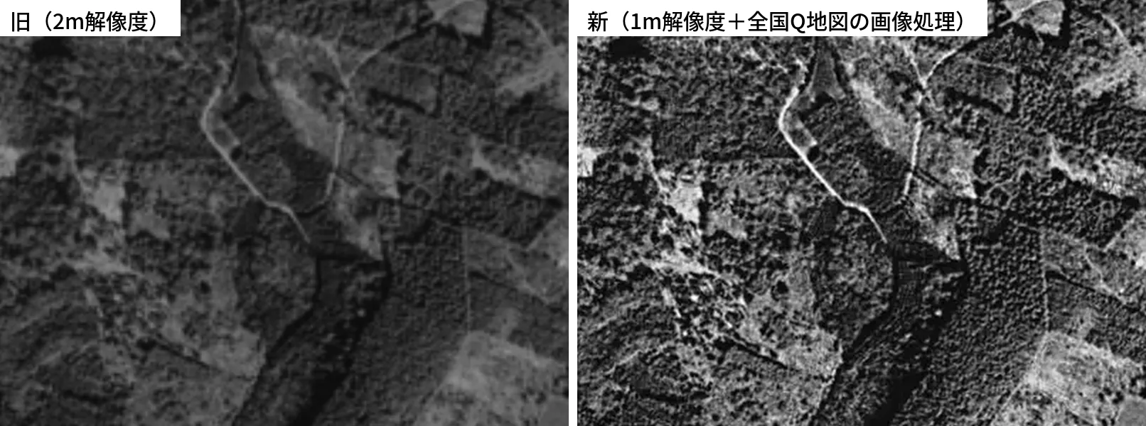 図2　新旧比較（左：旧・2m解像度／右：新・1m解像度＋全国Q地図の画像処理、宮崎県えびの市附近）／出典：Q地図タイル（国土地理院（2026）過去の地形データの作成手法とその活用に関する研究（令和5〜7年度）成果データセット．国土地理院地理地殻活動研究センター公開データウェブサイト）